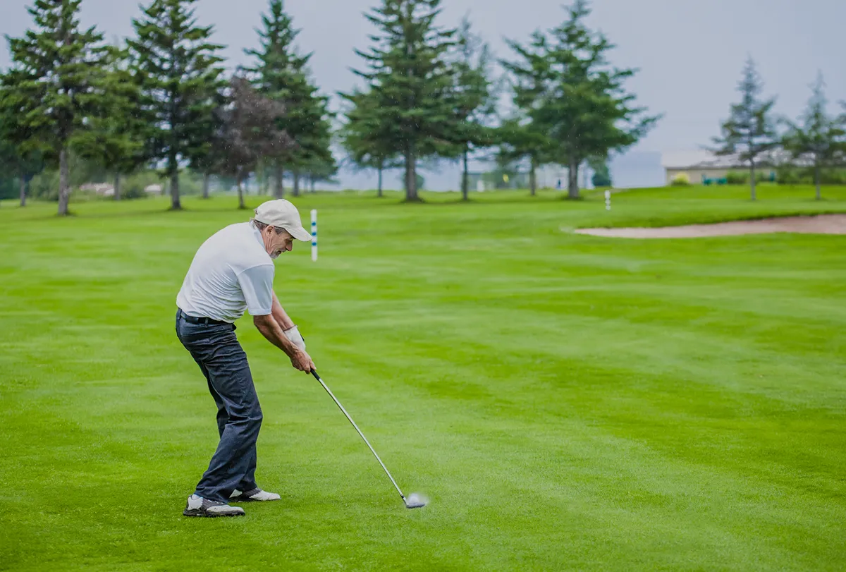 Tee Up 4 Golf